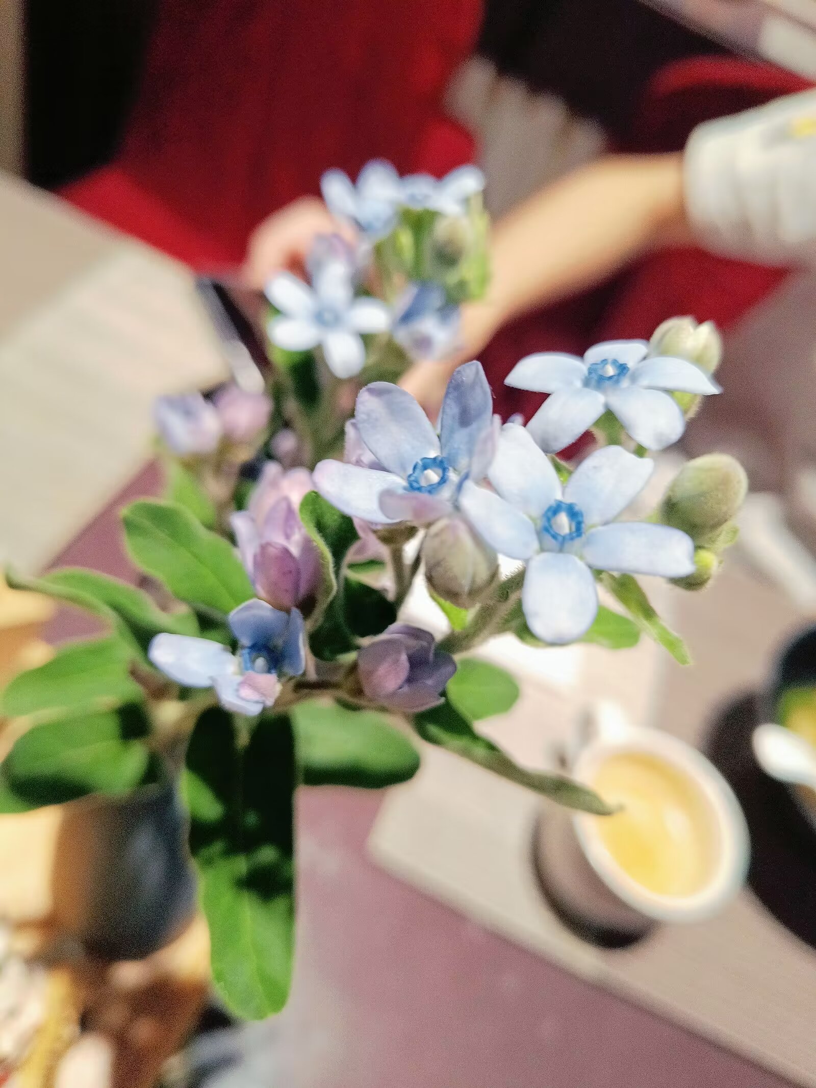 早餐花